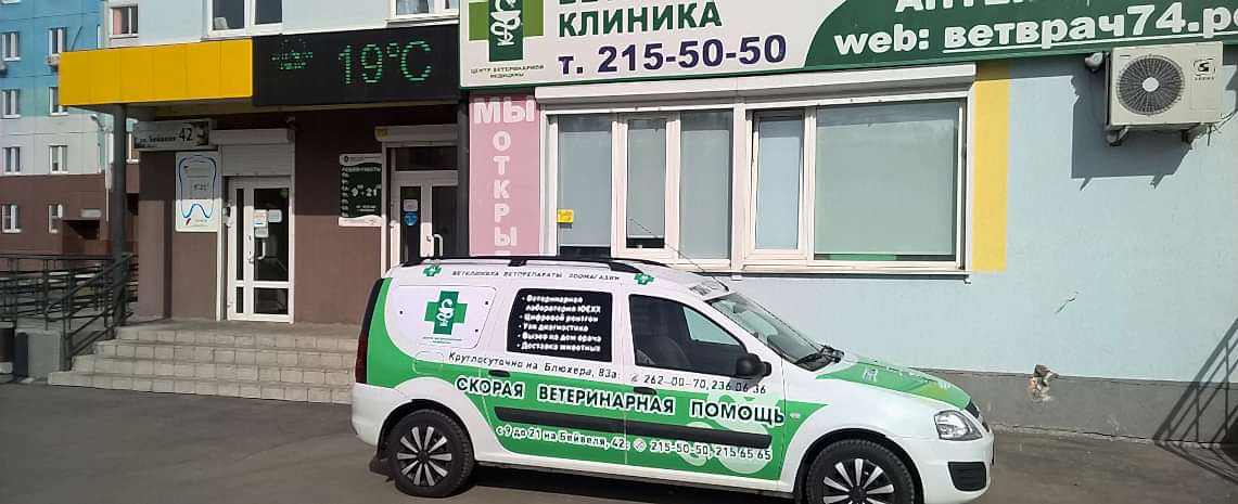 Вход в ветеринарную клинику<br />
по адресу ул. Бейвеля, 42