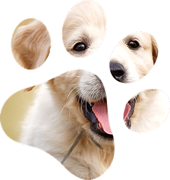 Узнайте о нас больше!