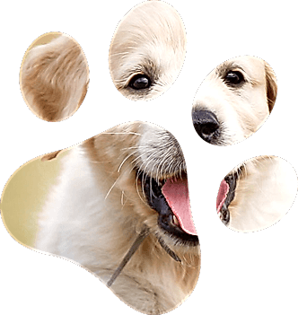 Основные признаки неврологических заболеваний