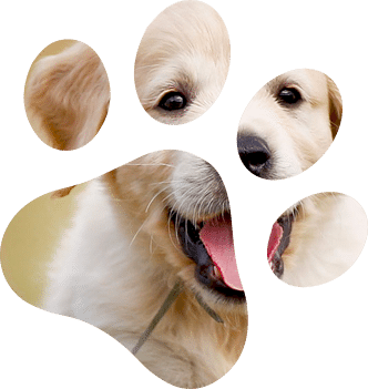 Урологическая помощь